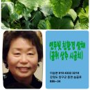 청청농부