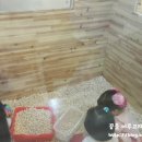 점폴린파크 - 안성시 | 점폴린파크