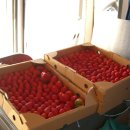 양재목장 이미지