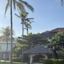 루나 하우스(Luna House) | 낭만 치사량 발리, 3주간 일몰헌팅 일기 (짱구/스미냑 발리 비치클럽 비교를 곁들인..) (2)