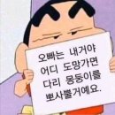 [W02] 스드메 계약후기 (대구웨딩정보박람회) : 아뜰리에 엘스, 메종드벨라