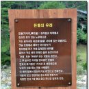 꽃비농원 Daum카페