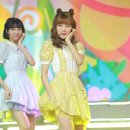 원숭이직구
