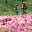 한강 자전거도로6 이미지