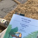 대구경북양돈농협 앞 | (칠곡) 왜관 힐포레 글램핑장 :: 바베큐부터 야외독서까지, 잔뜩 힐링한 경북글램핑 1박2일 후기