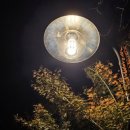 용산마을회관 | [전주 1박2일 여행코스] 전주한옥마을 &amp;라한호텔 전주 찐후기