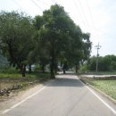 외룡1리마을회관 이미지