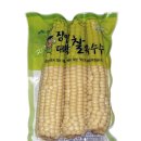 장연농장 | 괴산 장연 냉동 대학찰옥수수 삶은 찐 옥수수 판매 가격 농장 직송