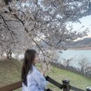 재미있는 역사 여행 | 4월일상 - 부산 맛집 추천, 희와제과 이재모피자 후기와 대마도, 합천 반값여행 !