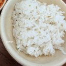 한촌설렁탕제주종합운동장점 | 명동교자 본점 신관 30년 단골의 솔직후기,만두 포장 김치 유료화와 혼밥 정보