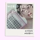 뷰티월드 | 속눈썹붙이기 어려운 사람도 가능? 월드뷰티 노글루속눈썹 사용 후기👁️