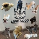 사랑가득주유소 이미지