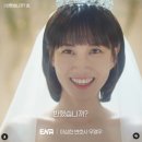 초계양고기