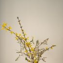 오늘 브런치 이미지