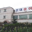 대전 안영동 신대송어장 오동통한 송어회