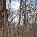 자연속으로 이미지