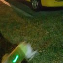 수영종합동물병원 이미지