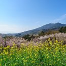 남파랑길 42코스 이미지