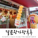 대구 수성못 달콤왕가탕후루 귤탕후루 후기