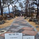 금수산펜션 | 멋진 온실이 있는 청풍호 뷰맛집,제천 카페 너른