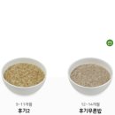 명푸드 | 시판 이유식 양 추천 시판 이유식 체험 후기 | 푸드케어 클레