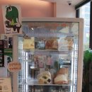 김포한강4로-L | 김포 장기동 베이글맛집 [소굴속] 김포장기점 재방문 포장후기!