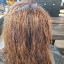 펌앤컷미용실 | ✨인천인하대역 펌앤컷 미용실✨ 레이어드 펌 후기