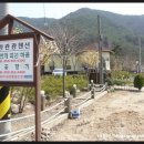 물안개 피는 마을,들꽃향기 이미지