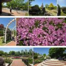 엄마의 집 효도급식소 | 친정엄마 팔순 기념 2박 3일 효도 여행 기록 대구 출발 진도·순천 코스 (환상의 날씨)