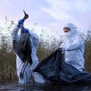 자연생명대체의학 이미지