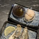 낭만물고기 이미지