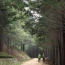 금련산주유소 이미지