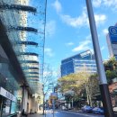 에이티에잇(88) | 노스시드니 카페 브런치 맛집 에이티에잇 eighty ate 야외테라스 후기