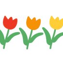 피터펫카페본점 이미지