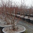 영하농장 이미지