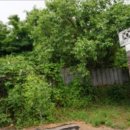 춘포면-03 이미지