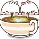 메이플육공사 네이버블로그