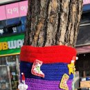 경북도청 산합공원 나무와 문화간이멱 이미지