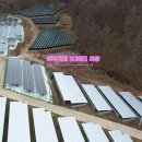 써니발전소 이미지