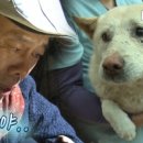 댄디농장 이미지