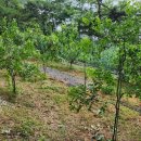 연희농장 이미지