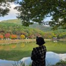 떡볶이삼춘