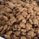 주식회사 온힐펫 이미지