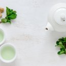 차랑술이랑 티스토리