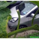 최희윤농장 이미지