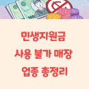 플러스 안마시술소 | 2025년 민생지원금 사용 불가 매장 업종 총정리(+다이소와 올리브영은?)