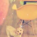 쁘띠시앙 이미지