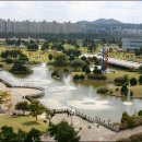 한국과학기술원 Daum카페
