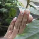 네일해또 - 관악구 | 부산 사직 크리스마스 네일 추천 | 웨딩네일 잘하는 곳 :: 사직 이달의 네일 맛집 [ 네일해또 ] 방문후기