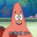 호정 이미지